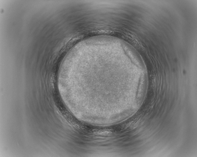 X0000057080643200510071846