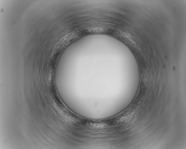 X0000057080645200510071846