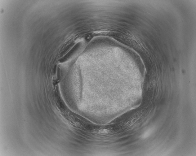 X0000057080647200510071846