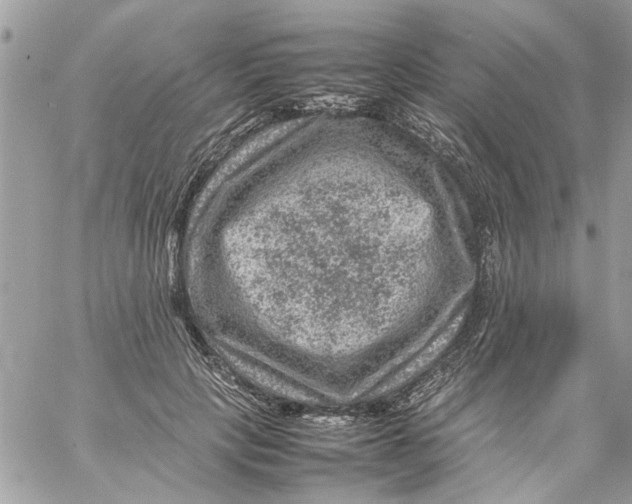 X0000057080649200510071846