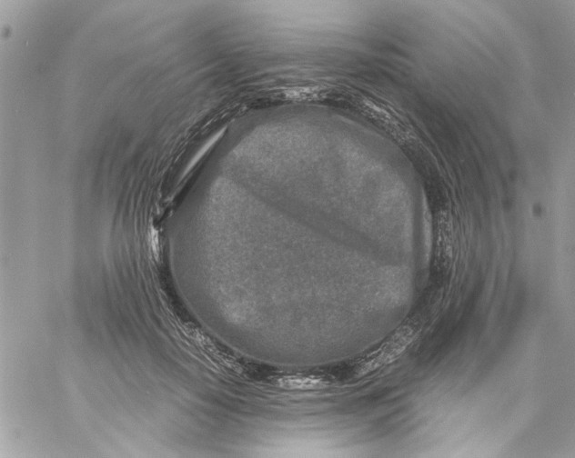 X0000057080650200510071846