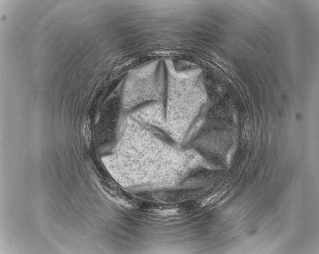 X0000057080651200510071846