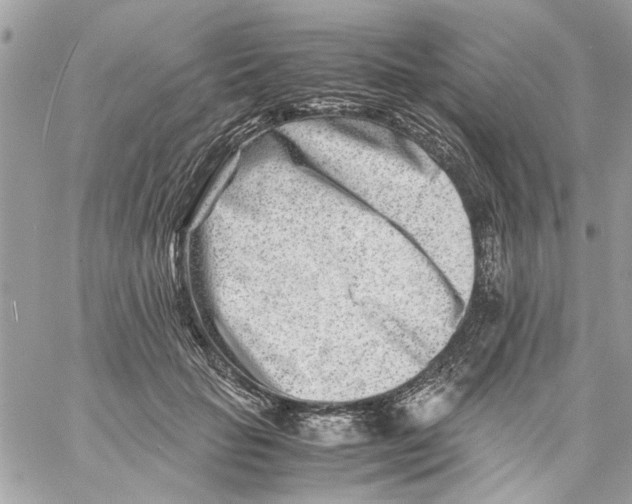 X0000057080653200510071846