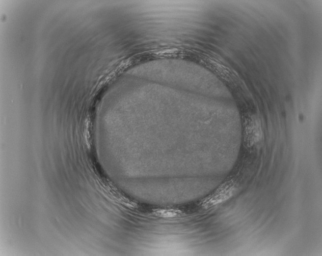 X0000057080654200510071846