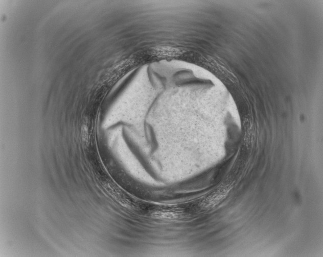 X0000057080655200510071846