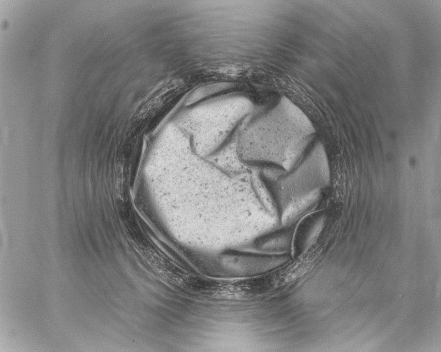 X0000057080656200510071846