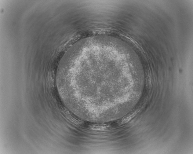 X0000057080661200510071846