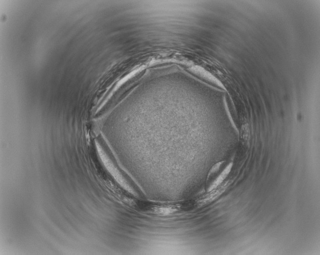 X0000057080662200510071846