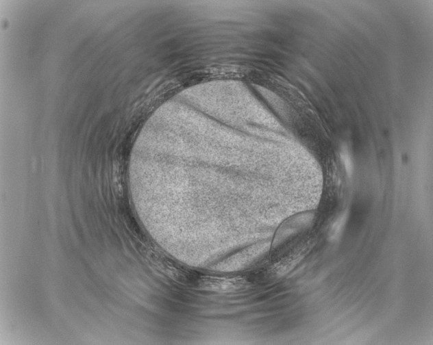 X0000057080663200510071846