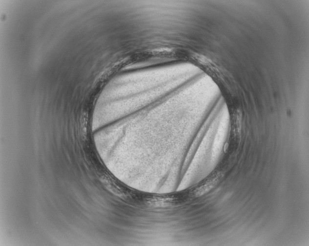 X0000057080664200510071847