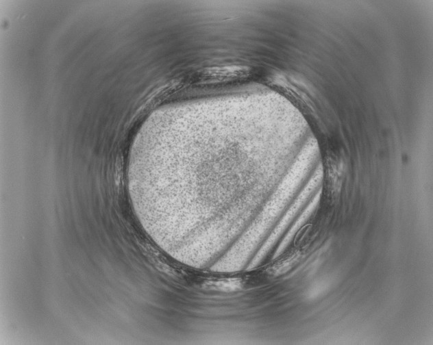 X0000057080665200510071847