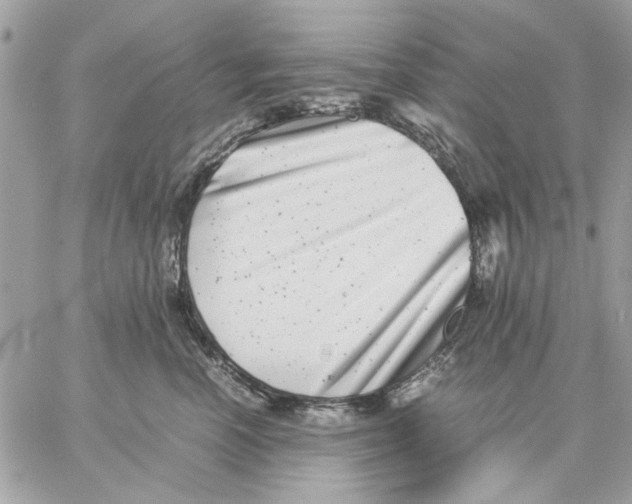 X0000057080666200510071847