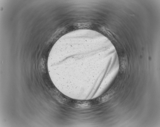 X0000057080667200510071847