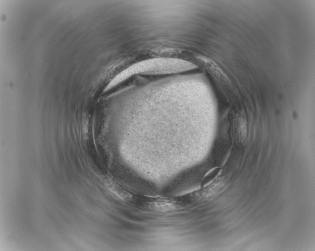 X0000057080668200510071847