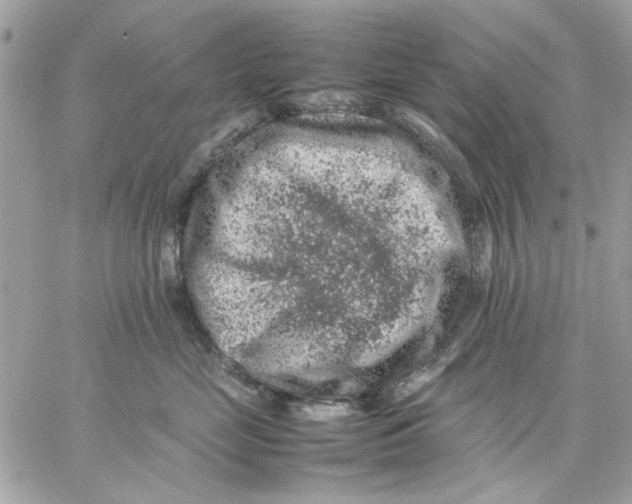 X0000057080669200510071847