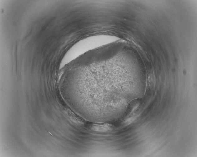 X0000057080671200510071847