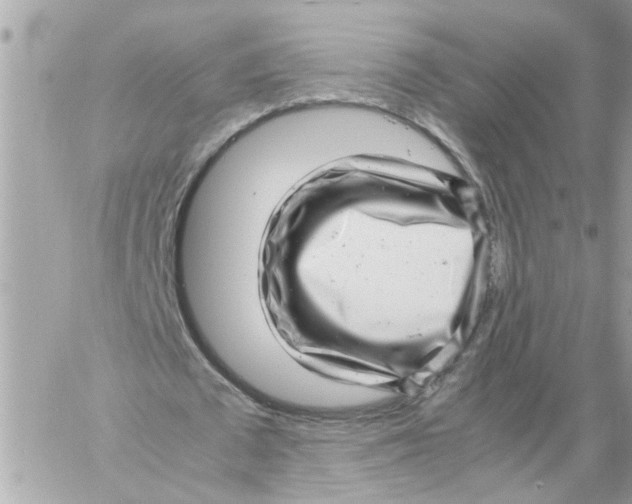 X0000057080673200510071846