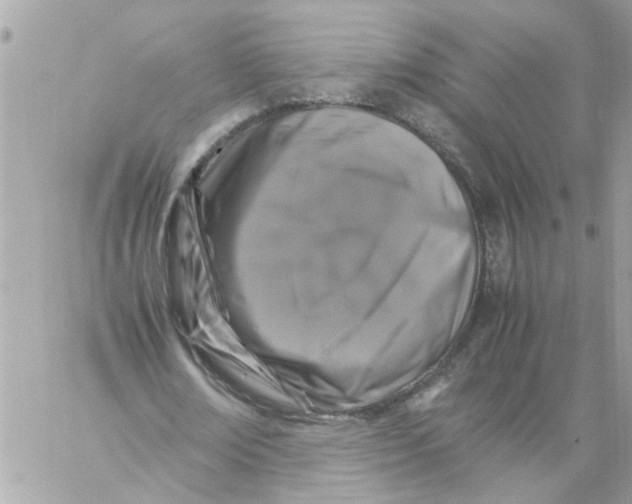 X0000057080674200510071846