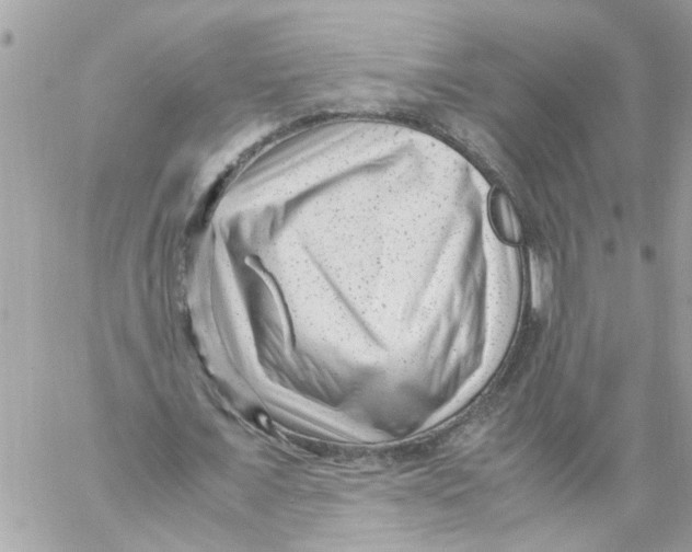 X0000057080675200510071846