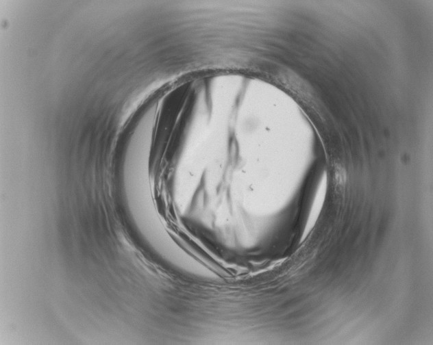 X0000057080676200510071846