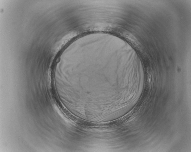 X0000057080678200510071846