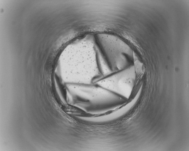 X0000057080681200510071846