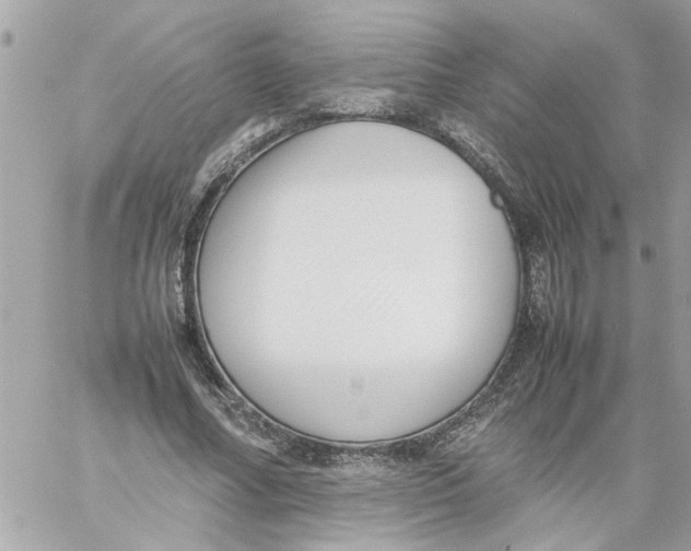 X0000057080682200510071846