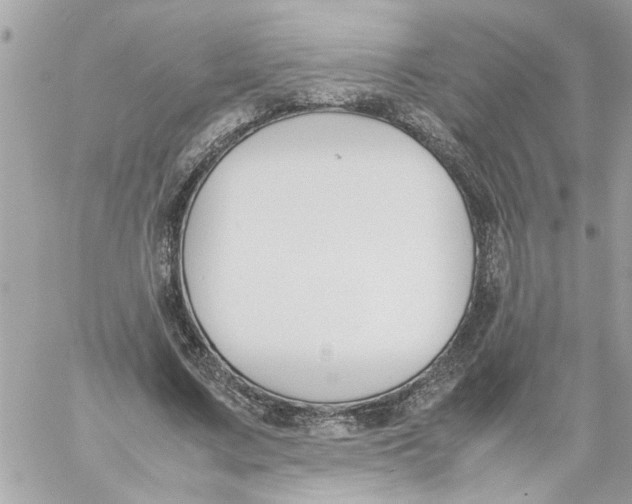 X0000057080683200510071846