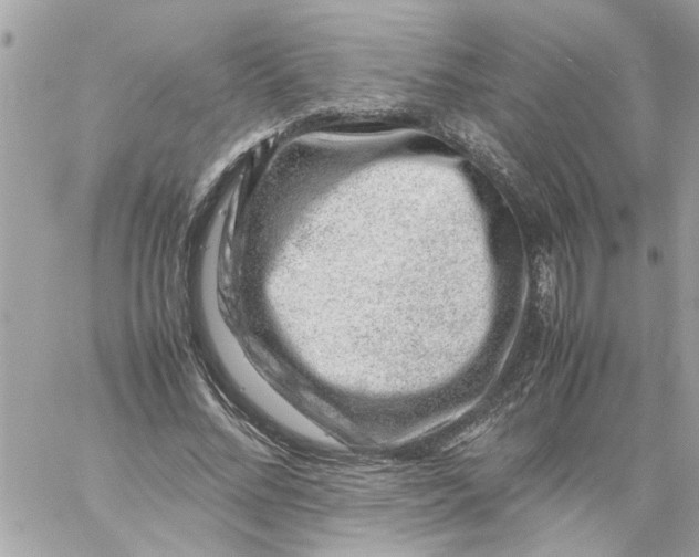 X0000057080684200510071846