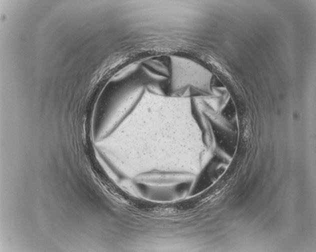 X0000057080685200510071846