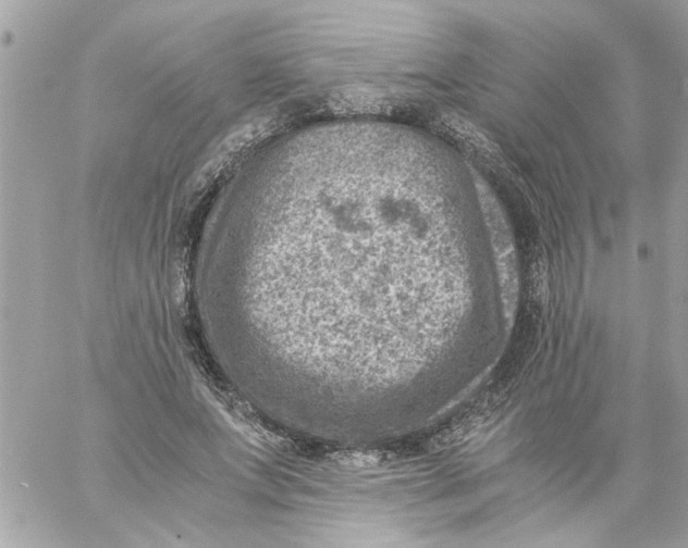 X0000057080687200510071846