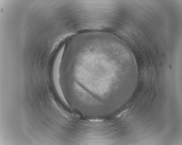 X0000057080688200510071846