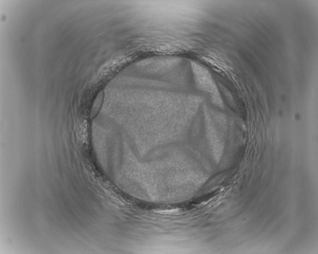 X0000057080689200510071846