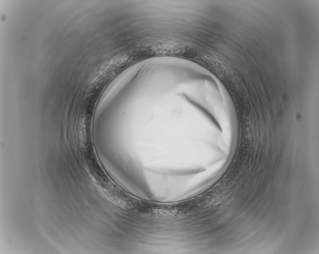 X0000057080690200510071846