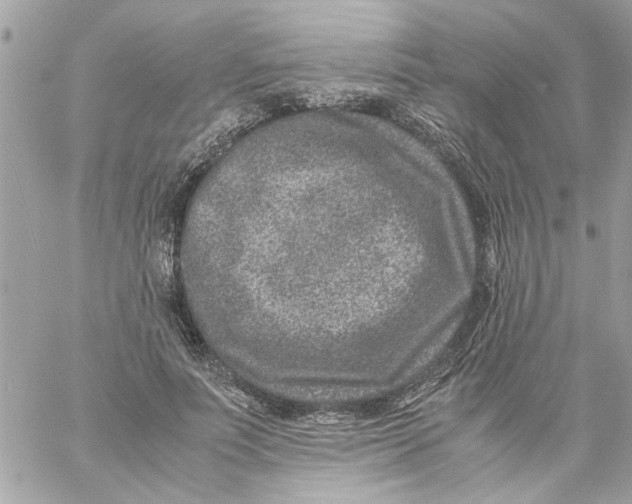 X0000057080691200510071846