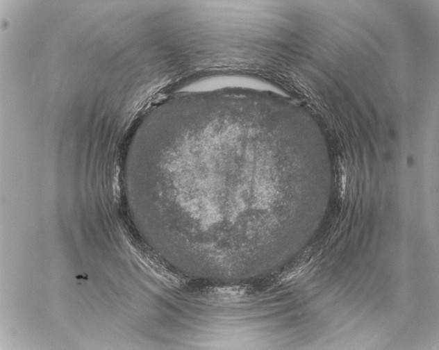 X0000057080692200510071846