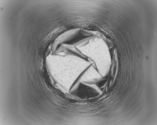 X0000057080693200510071846