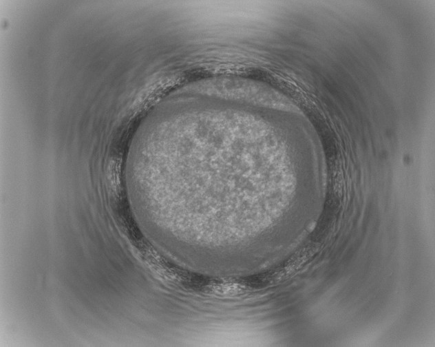 X0000057080695200510071845