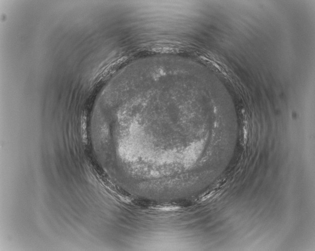 X0000057080696200510071845