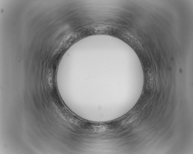 X0000057080698200510071845