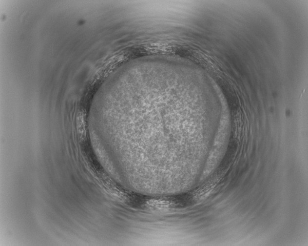 X0000057080699200510071845