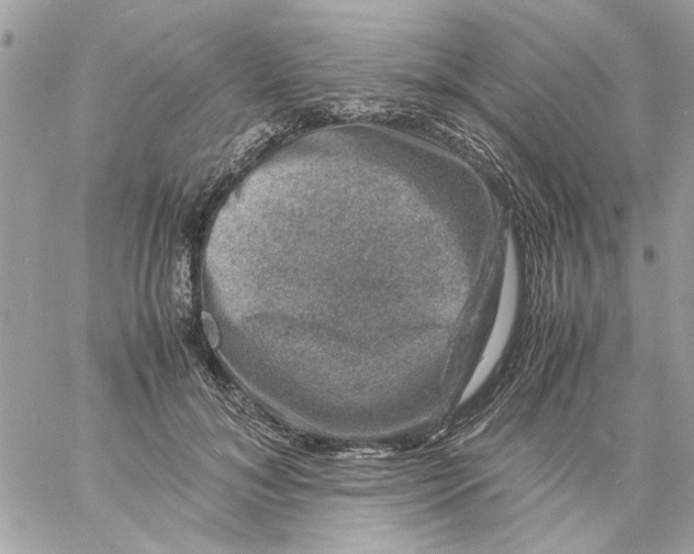 X0000057080700200510071845