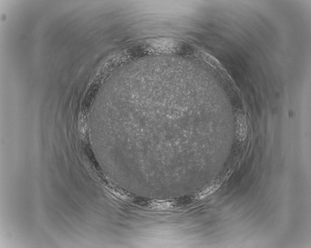 X0000057080701200510071845