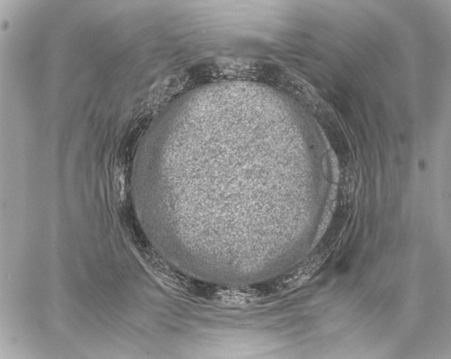 X0000057080703200510071845