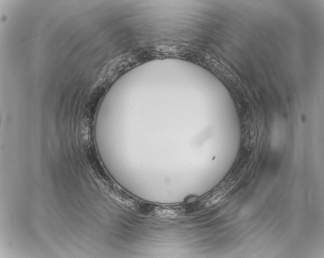 X0000057080706200510071845