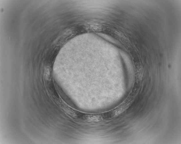 X0000057080709200510071845