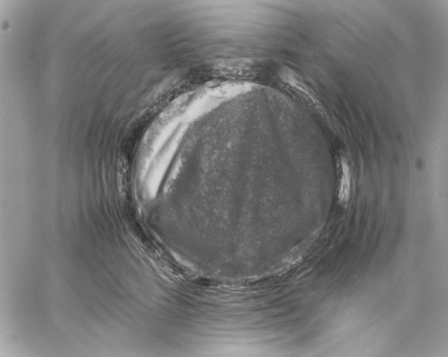 X0000057080712200510071845