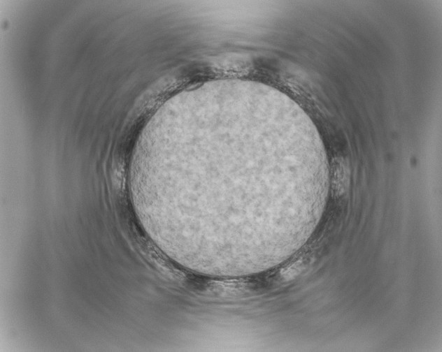 X0000057080713200510071845