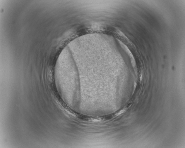 X0000057080715200510071845