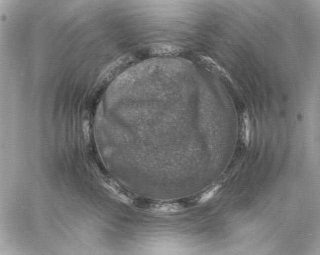 X0000057080716200510071845